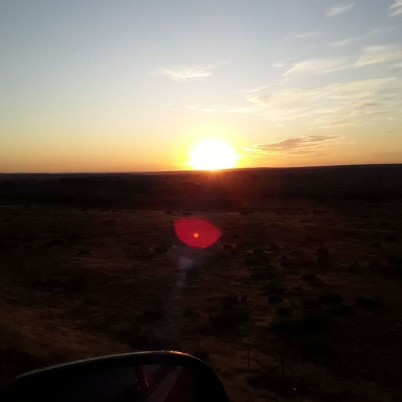 Meet your Posher, Tonio - Picture 1 of 1